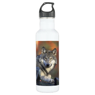 Schöner Wolf Trinkflasche