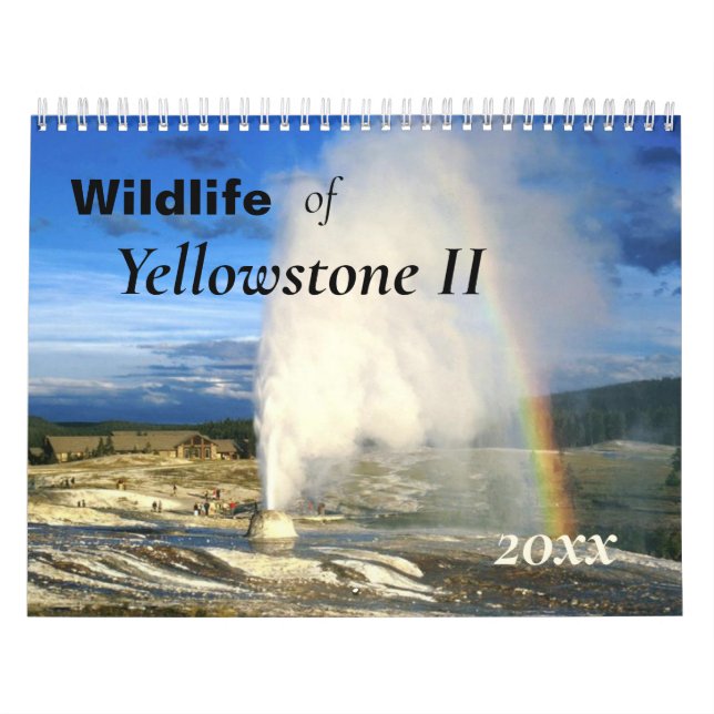 Schöner Yellowstone-Kalender Kalender (Titelbild)