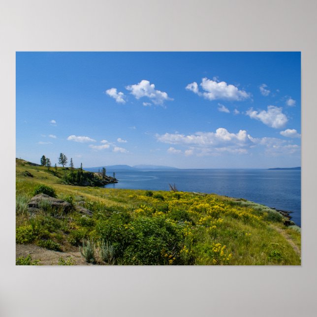 Schöner Yellowstone-See Poster (Vorne)