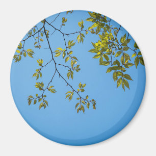 schöner Zweig mit grünen und gelben Blätter umarme Magnet
