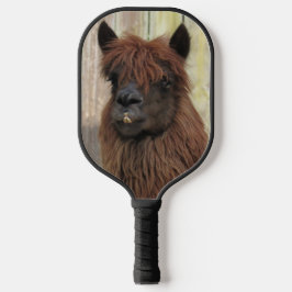 Schönes Alpaca-Pickleball-Paddle Pickleball Schläger