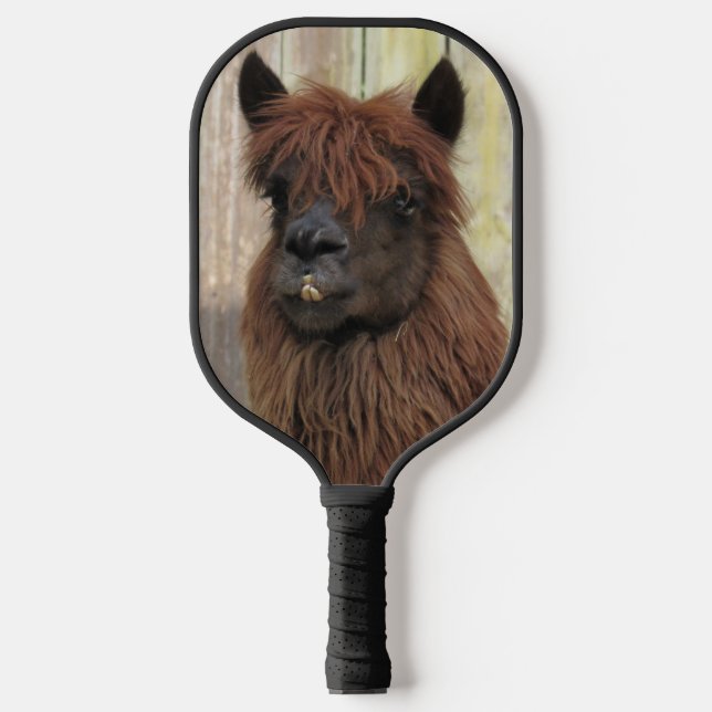 Schönes Alpaca-Pickleball-Paddle Pickleball Schläger (Vorderseite)