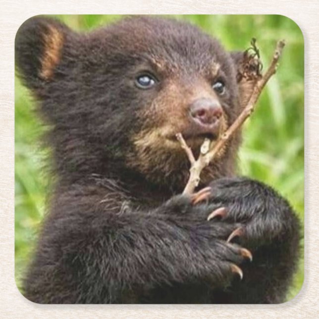 Schönes Baby Bear Rechteckiger Pappuntersetzer (Vorderseite)