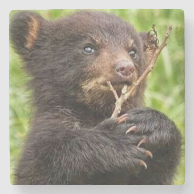 Schönes Baby Bear Steinuntersetzer (Vorderseite)
