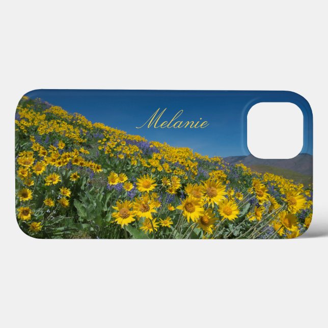 Schönes Balsamroot Bloom Case-Mate iPhone Hülle (Rückseite (Horizontal))