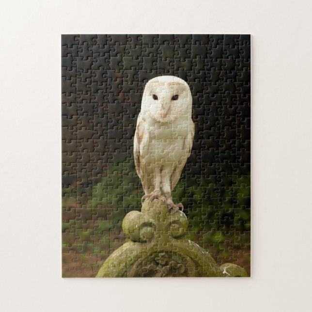Schönes Barn Owl Puzzle/Jigsaw Puzzle (Vertikal)