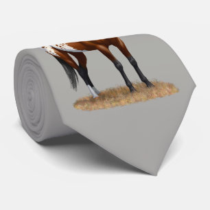 Schönes Bay Appaloosa Pferd Krawatte