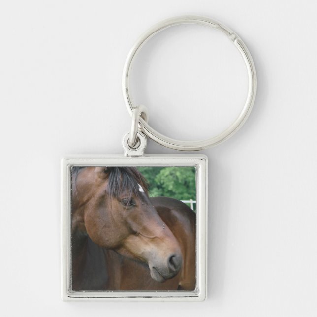 Schönes Bay Horse Schlüsselanhänger (Vorne)