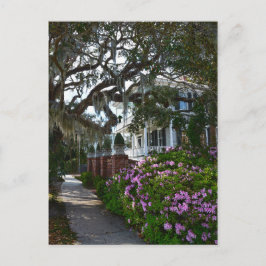 Schönes Beaufort, South Carolina Postkarte