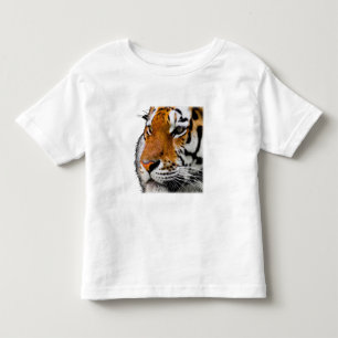 Schönes Bengalischer-Tiger-Gesichtsfoto Kleinkind T-shirt