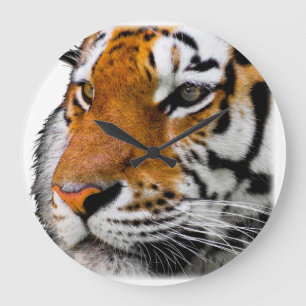 Schönes Bengalisches Tiger Face Foto Große Wanduhr
