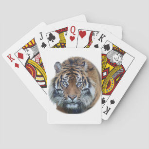 Schönes Bengalisches Tiger Face Foto Spielkarten