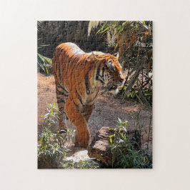 Schönes Bengalisches Tiger Jigsaw Puzzle