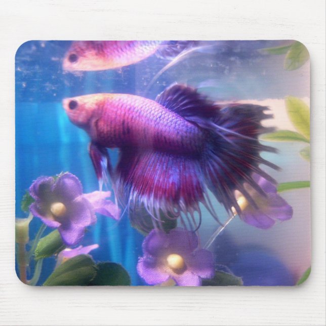 Schönes Betta Mousepad (Vorne)