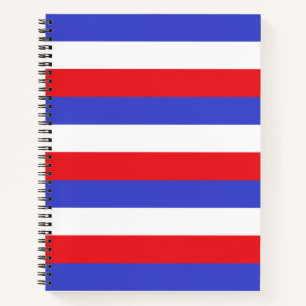 Schönes Blau Rot Weiß Streifen Notizbuch
