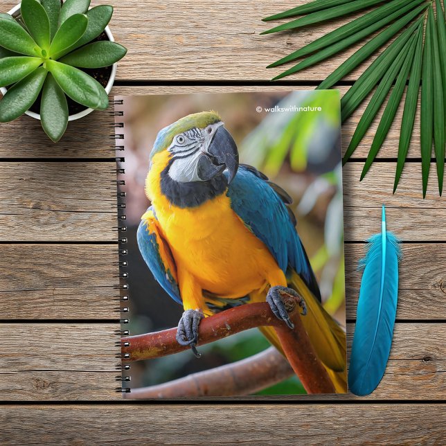 Schönes Blau und Gold Macaw Notizblock (Beautiful Blue and Gold Macaw on a Branch Journal Cover Photo)