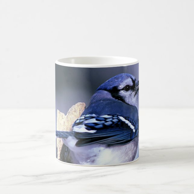 Schönes blaues Jay Tasse (Mittel)