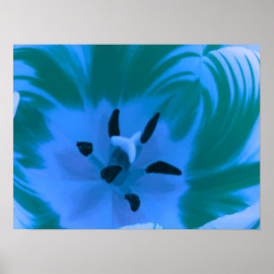 Schönes blaues Tulpenposter Poster