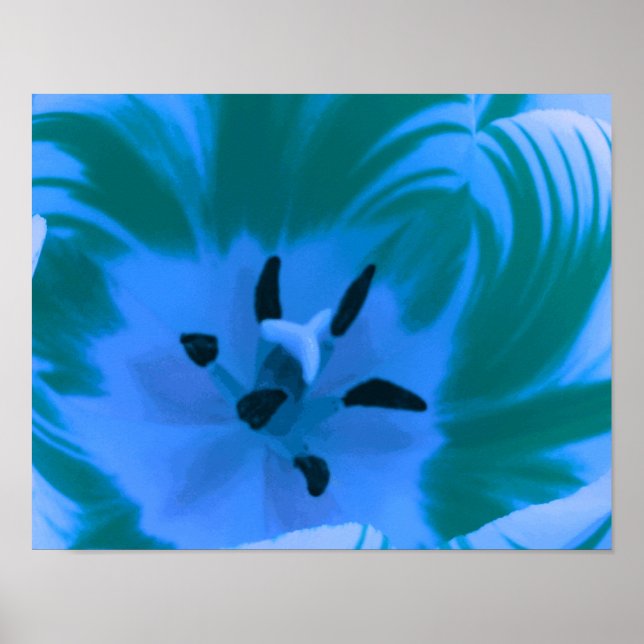 Schönes blaues Tulpenposter Poster (Vorne)