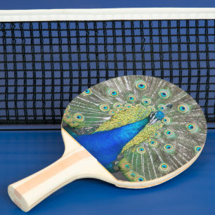 Schönes Blue Peacock Foto Tischtennis Schläger