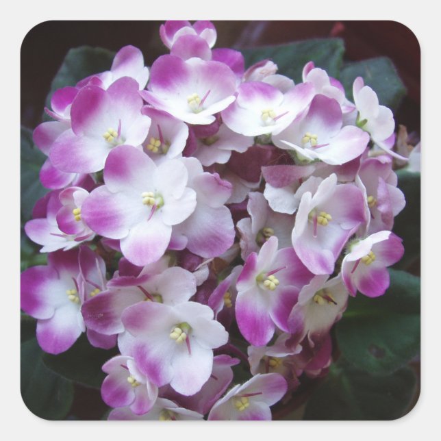 Schönes Blume Sticker Set (Vorderseite)