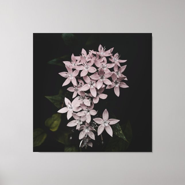 Schönes Blumenbild auf Leinwand (Vorderseite)