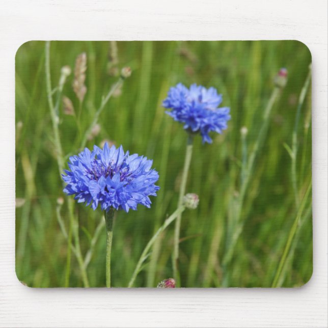 Schönes Blumenmuster Wiesen Blume Design Mousepad (Vorne)