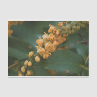 Schönes Blumenpapier für Blume Seidenpapier