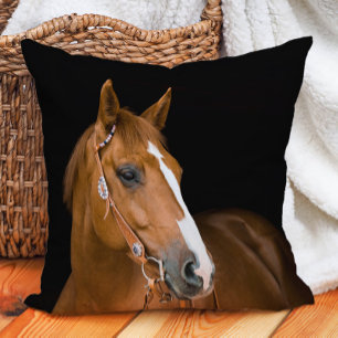 Schönes braunes weißes Quarter Horse Foto Kissen