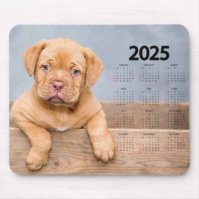 Schönes braunes Welpe 2025 Dog Calendar Mousepad (Vorne)