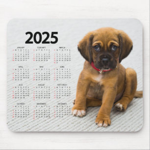 Schönes braunes Welpe 2025 Dog Calendar Mousepad