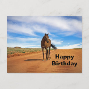 Schönes Braunpferd Straßen Foto Geburtstag Postkarte