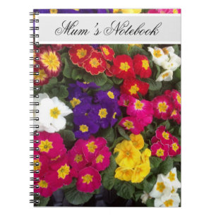 Schönes Bright Polyanthus-Blume Notebook Notizblock