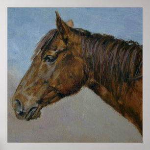 Schönes Brown Horse Portrait Poster