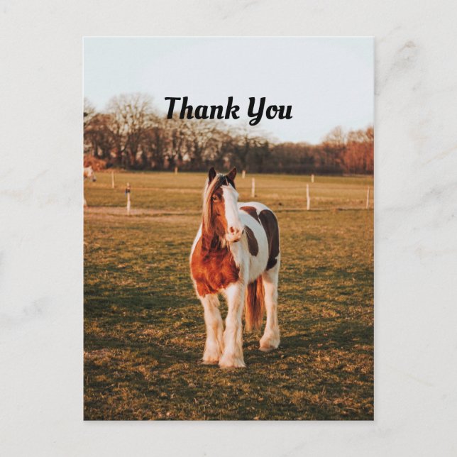 Schönes Brown Paint Draft Horse Foto Vielen Dank Postkarte (Vorderseite)