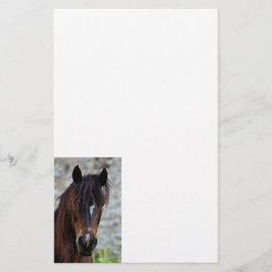 Schönes Brown-Pferd Briefpapier