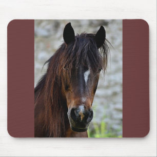 Schönes Brown-Pferd Mousepad