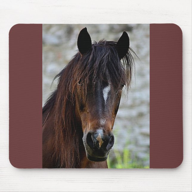 Schönes Brown-Pferd Mousepad (Vorne)