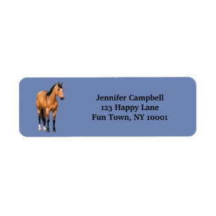 Schönes Buckskin Quarter Horse