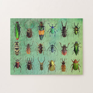 Schönes Bugs Beetle Mania Puzzle