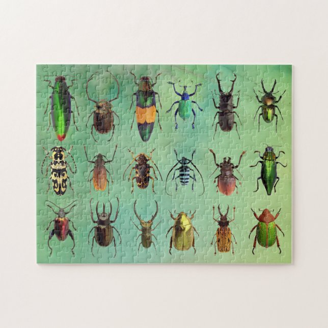 Schönes Bugs Beetle Mania Puzzle (Horizontal)