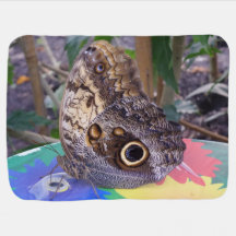 Schönes Butterfly Baby Blanket