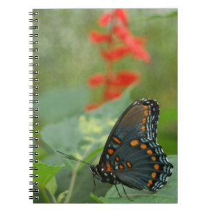 Schönes Butterfly-Notebook Notizblock