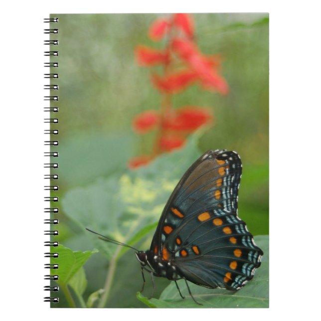 Schönes Butterfly-Notebook Notizblock (Vorderseite)