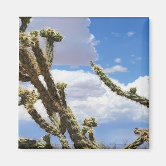 Schönes Cactus Foto Magnet
