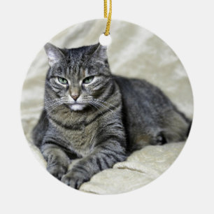 Schönes Cat Lay Keramik Ornament