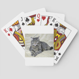 Schönes Cat Lay Spielkarten
