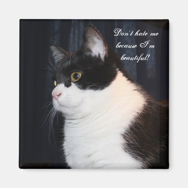Schönes Cat Magnet (Vorne)