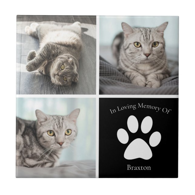 Schönes Cat Memorial Custom Pet Foto Keepake Fliese (Vorderseite)