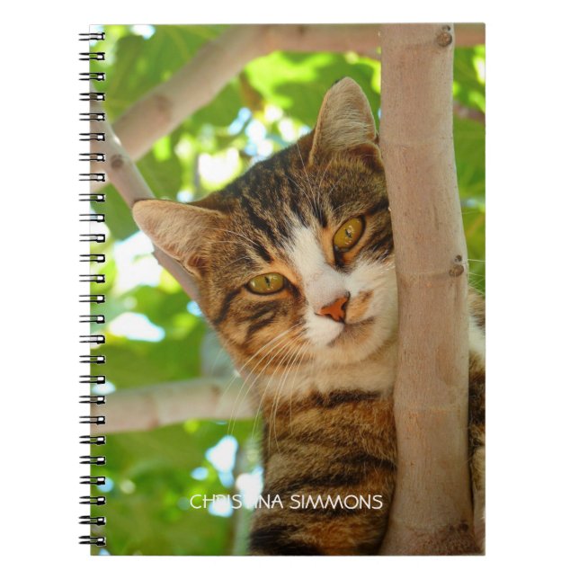 Schönes Cat Personalisiert Notebook Notizblock (Vorderseite)
